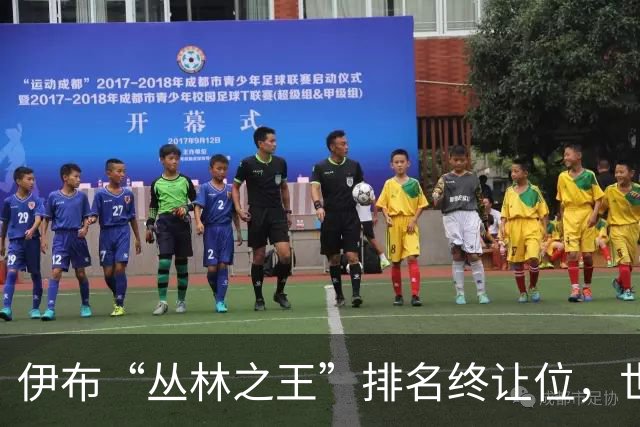 伊布“丛林之王”排名终让位，世界杯决赛前迎新第一